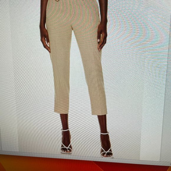 Aritzia/Babaton Conan Cropped Pant - SOLD - Picture 1 of 4